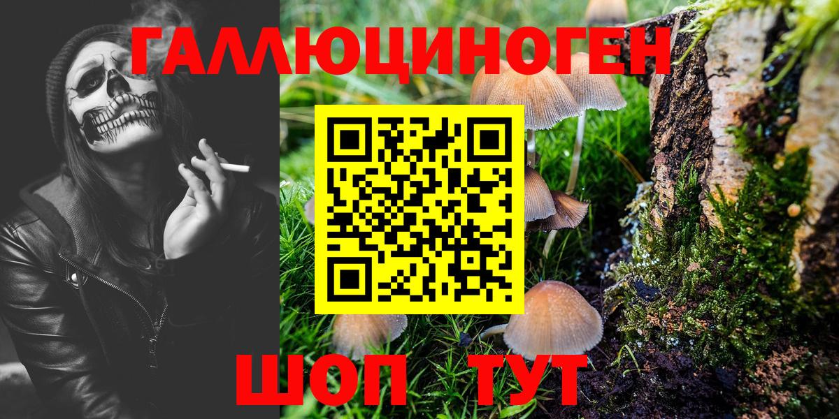 Псилоцибиновые грибы GOLDEN TEACHER Будённовск